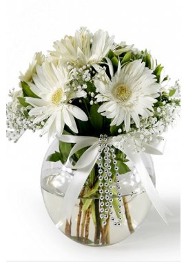 Beyaz Gerbera Cam Fanusda